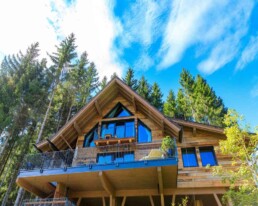 A treehouse in the forest